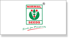 Nirmal-Seeds-logo.png